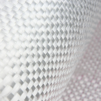 Tissu personnalisé OEM Premium 800g Tissu en fibre de verre pour planches de surf