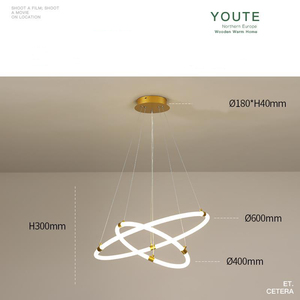 <span class=keywords><strong>2025</strong></span> nhôm Led nhà ở vòng trắng hiện đại nhà bếp ánh sáng mặt dây chuyền phụ kiện cho resturan - Product Image 6