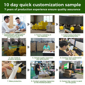 <span class=keywords><strong>En</strong></span> stock y soluciones efectivas de control de plagas directas de fábrica para granja, jardín y huerto con bola de trampa de captura - Product Image 3