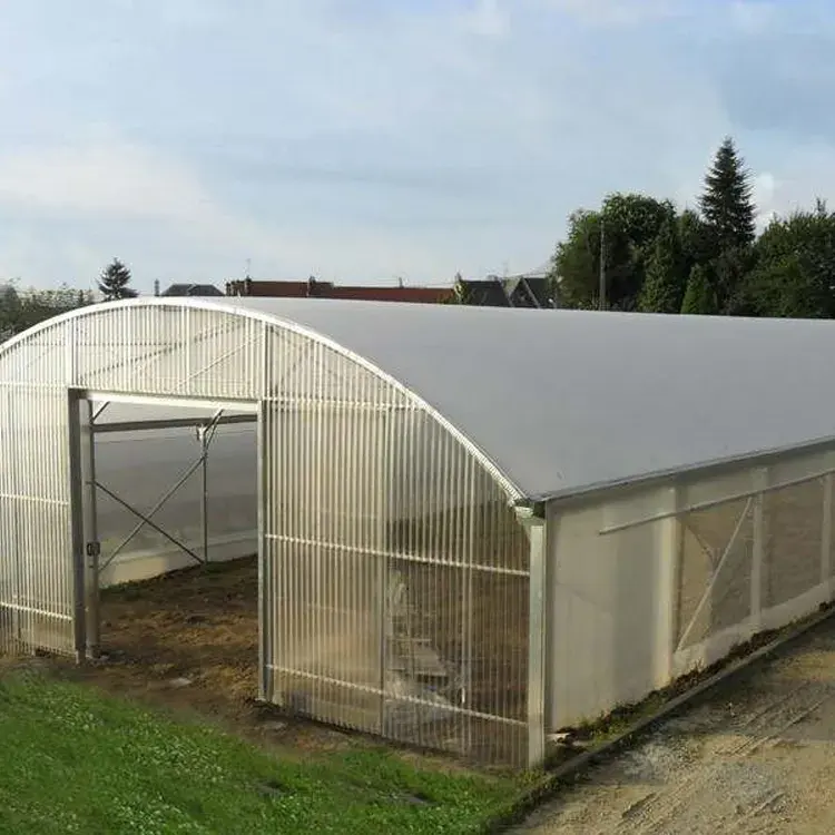 Trocknen Gewächshaus Runde Landwirtschaft tunnel Single-Span Gewächshaus Polycarbonat Blatt