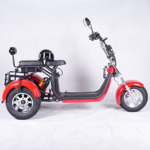 2025 EEC/COC Triciclos eléctricos certificados Adulto 2000W 3000W Asiento doble Scooters eléctricos de 3 ruedas Citycoco - Product Image 2