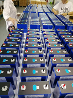 Stock UE - Cellules de batterie LiFePO4 prismatiques de qualité A 3.2V EVE280Ah 314Ah - 8000 cycles pour stockage d'énergie solaire - Livraison DDP