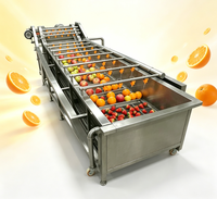 Automatische temperatuurregeling ozonwater voor fruitdesinfectie bubbelwasmachine