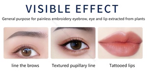 Solução remoção tatuagem marca Emmeline Produto plástico tatuagem corpo Pigmento maquiagem permanente Agente removedor cor - Product Image 5