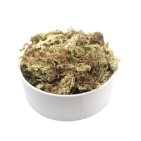 Matériau de coussin de tortue de mousse de sphaigne séchée naturelle de sol nutritif d'orchidée pure pour les plantes de jardin