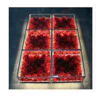 Plate-forme colorée acrylique scène de piste de danse de mariage avec lumière LED et contrôleur