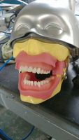 Modèle d'entraînement à l'extraction dentaire de type buzzer pour la pratique de l'anesthésie en enseignement dentaire
