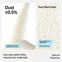 Litière pour chat en tofu naturel, parfum thé vert, agglomérante, biodégradable, en fibres de pois, vente en gros usine OEM