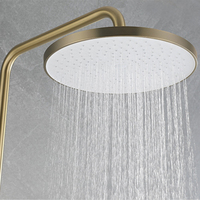 Ensemble de système de douche de pluie 2 fonctions colonne de salle de bain en acier inoxydable 304 ss mélangeur à 2 voies or brossé pomme de douche de 10 pouces