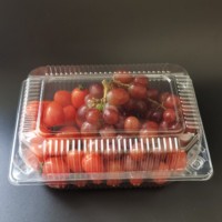 Petites boîtes à clapet en plastique transparent recyclables plateaux en plastique transparent jetables pour la nourriture pour le gaufrage de stockage de blister de raisin