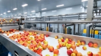 Volledig automatische productielijn voor appel-, peer- en guavensap, inclusief sapcentrifuge, industriële fruitverwerkingslijn, turn-key.