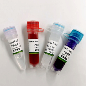 ApaL I - Product Image 1
