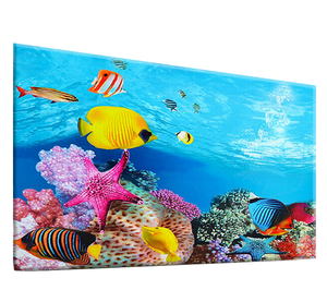 Autocollants rectangulaires écologiques 3D pour fond de poisson Décorations de réservoir d'<span class=keywords><strong>aquarium</strong></span> en plastique de style moderne Emballé dans une boîte - Product Image 1
