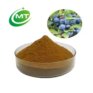 Prunus spinosa Hochwertige kostenlose Probe Pure Natural Organic Blackthorn/ Sloe Berry Extract Powder 10:1/ Blackthorn Fruit Powder