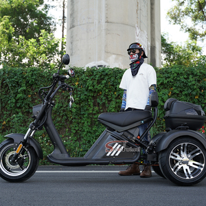 Elettrico Citycoco veloce velocità <span class=keywords><strong>3</strong></span> ruote triciclo Scooter elettrico ciclomotore adulto 2000w Trikes <span class=keywords><strong>3</strong></span> ruote moto - Product Image 6