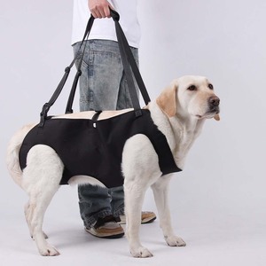 Harnais de levage pour chien, support intégral du corps, porte-chien réglable en maille, assistance pour chiens âgés, harnais pour chien - Product Image 3