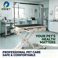 Table de toilettage pour chiens EURVET, réglable en hauteur électriquement, en acier inoxydable, structure en H, pour toilettage professionnel, hôpital vétérinaire, salon