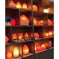Lampe de sel de l'Himalaya sculptée de forme naturelle, 2-3 kg, purificateur d'air ionique, lumière ambrée chaude, lampe de table, décoration de spa et de maison, vente en gros