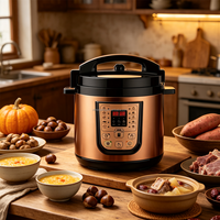 Autocuiseur Électrique Grande Capacité avec Cuve Intérieure Spacieuse pour Cuisson Rapide, Idéal pour la Maison, les Fêtes, les Petites Entreprises de Restauration et les Ventes en Gros