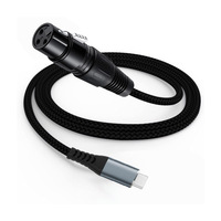 Câble audio XLR blindé stéréo personnalisé vers USB-C pour MAC, résolution 1080P, microphone, gravure