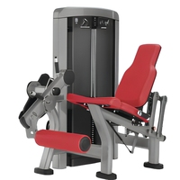 Appareil de musculation professionnel réglable en acier pour l'extension des jambes et des cuisses