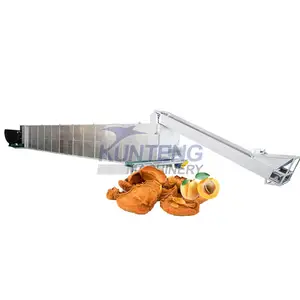 Continuous conveyor food drier beef jerky dehydrator meat pasta dryer peanut mango drying machine dry fruits making machine