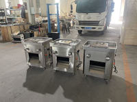 Trancheuse à viande automatique industrielle pour kebab, coupe-viande électrique avec moteur en acier inoxydable, compatible 220V/110V