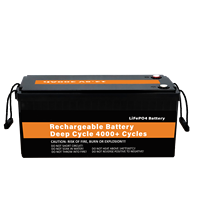 Baterai Lithium LiFePO4 12V300Ah OEM Pabrik untuk Penyimpanan Produk Tenaga Surya Li-ion