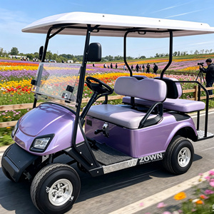 Carrito de Golf Eléctrico de 8 Plazas con Certificación CE ZOWN, Chasis Estable, Amplia Caja de Almacenamiento para Uso Turístico en Resorts - Product Image 1