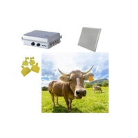 Vente en gros d'étiquettes RFID multi-fréquences longue portée 860-960 MHz, mini-étiquettes d'oreille en PVC pour le suivi du bétail, des moutons et des bovins