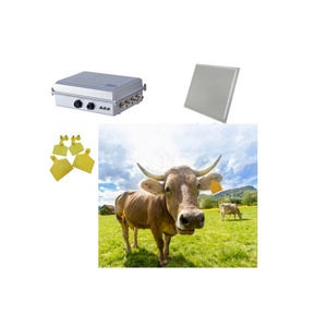 แท็ก RFID สำหรับสัตว์แบบมินิ PVC สำหรับติดหู  ความถี่ 860-960mhz ระยะไกล สำหรับระบบติดตามปศุสัตว์ เช่น วัว แกะ โค กระบือ ขายส่ง - Product Image 5