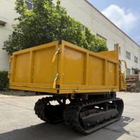 RDGM ASV Mini Diesel-Raupentraktor mit Hoher Ladekapazität, 300L Schaufel, 1300kg Gewicht, Changchai-Motor