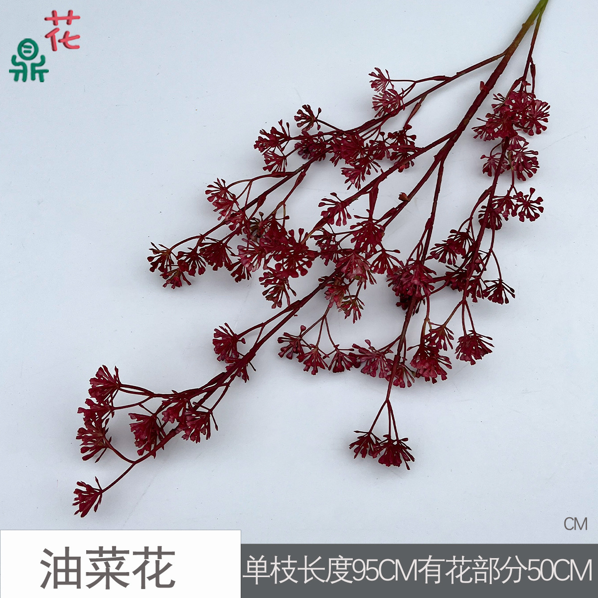 Fleur de colza CM Rouge