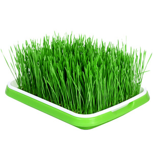 Set per la semina di <span class=keywords><strong>erba</strong></span>, ideale per pendenze di giardini e fattorie, adatto a tutti gli scopi di inverdimento. Set per la Piantumazione di Prodotti - Product Image 6