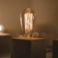 Ampoule à filament décorative vintage ST64, verre ambré, dimmable, 25w 40w 60w, ampoule Edison pour luminaire suspendu de style industriel antique