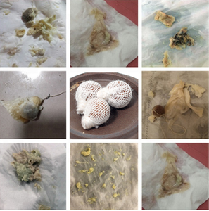 Harga Diskon Persediaan Pabrik Perawatan Feminin Titik Bersih Vagina MOQ Rendah Label Pribadi Mutiara Detoks Vagina - Product Image 5