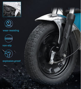 Fabriek Maatwerk Cargo 3 Wielen Grote 60V 1000W <span class=keywords><strong>Triciclo</strong></span> Electrica Elektrische Driewielers Voor Volwassen - Product Image 5