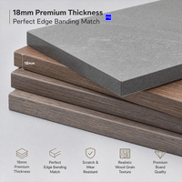 Papan HPL Kompak 12mm Lembaran Laminasi Fenolik Tahan Api Tahan Air Perlengkapan Toko Hotel Rak Display Meja Konter