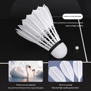 Volants <span class=keywords><strong>de</strong></span> <span class=keywords><strong>badminton</strong></span> lumineux phosphorescents résistants au vent et durables en plastique expansé et plumes <span class=keywords><strong>de</strong></span> nylon pour entraînement intérieur et extérieur - Product Image 2