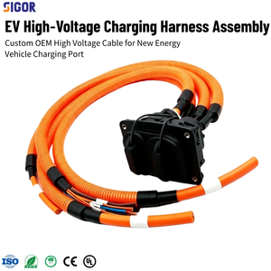 Harnais de câblage haute tension personnalisé pour véhicules électriques, assemblage de câbles en silicone XLPE, indice de protection IP66, adaptateur à âme en cuivre pour automobile, moto, ordinateur - Product Image 5