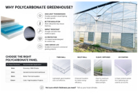 Serre commerciale en polycarbonate de type tunnel, résistante aux intempéries, à vendre