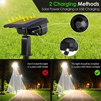 Lampes d'extérieur étanches, lampes alimentées par énergie solaire, luminaires paysagers RGB, éclairage de jardin LED à faible tension 12V, spot solaire pour allée