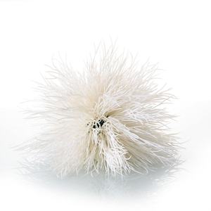 Piante acquatiche realistiche decorazione acquario Runpin Rpyx-0032 acquario piante ornamentali acquario altre decorazioni acquario - Product Image 4