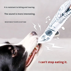 Giocattolo per cani a forma di giornale, resistente agli strappi, di qualità superiore, con squeaker, per stimolazione mentale e gioco quotidiano. - Product Image 5