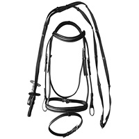 Endurance Équitation Bride Endurance Cheval Rouge Bride En Cuir Haute Qualité Premium Rub International