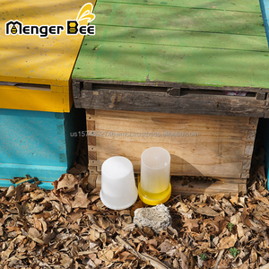 Nuevo Comedero para Abejas Menger Bee Spot Style PP de 500 ml, Modelo BF-11 con 2 Años de Garantía para Apicultura - Product Image 5