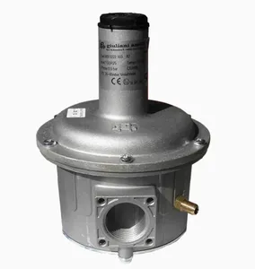 Reductor de presión de gas natural Giulian Anello FG1B25 DN 1B32 1B40 1B50 1B15 1B20 - Product Image 4
