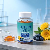 Complément alimentaire pour la santé oculaire OEM pour adultes, à base de lutéine, vinyleux, zéaxanthine, extrait de myrtille et extrait de pépins de raisin