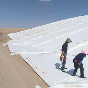 Toile de paillage anti-mauvaises herbes 300 g/m² en géotextile non tissé PET/PP pour l'agriculture - Product Image 5