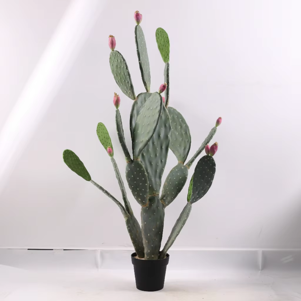 135 cm